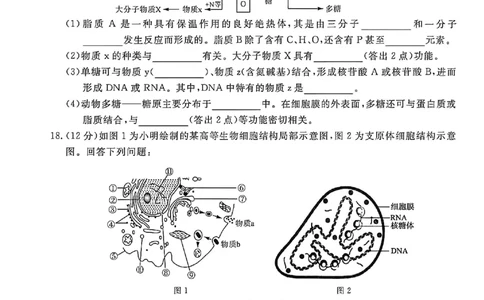 钦州2025-2026秋季期末高一生物试卷_2026年02月高一试卷_260205广西钦州市2025-2026高一上学期期末教学质量检测