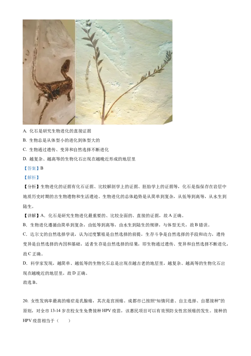 精品解析：2024年四川省凉山州中考生物真题（解析版）_new_6生物中考复习_2025中考复习资料_中考真题（近三年）_2024年生物中考真题