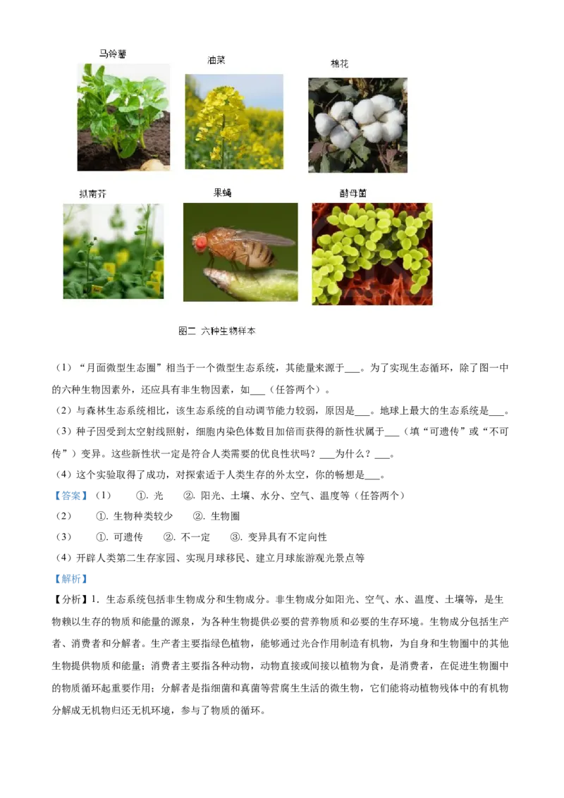 精品解析：2024年四川省凉山州中考生物真题（解析版）_new_6生物中考复习_2025中考复习资料_中考真题（近三年）_2024年生物中考真题