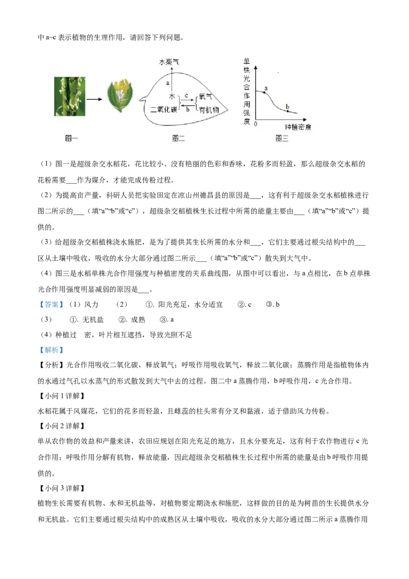 精品解析：2024年四川省凉山州中考生物真题（解析版）_new_6生物中考复习_2025中考复习资料_中考真题（近三年）_2024年生物中考真题