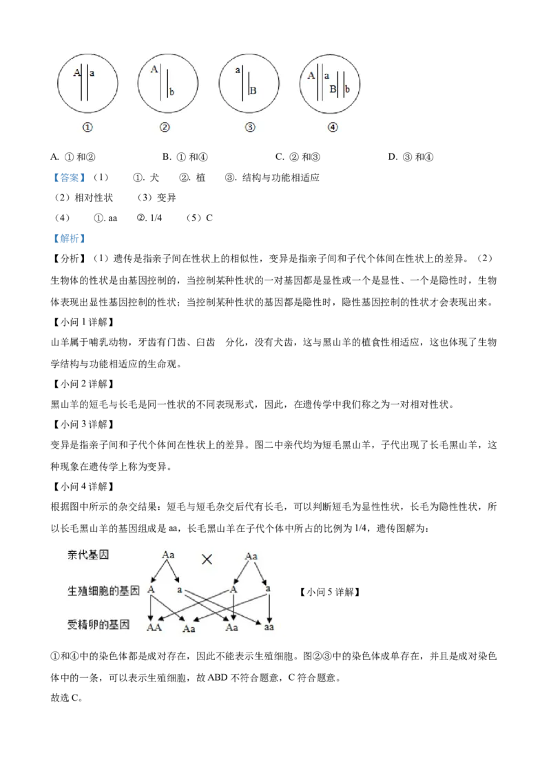 精品解析：2024年四川省凉山州中考生物真题（解析版）_new_6生物中考复习_2025中考复习资料_中考真题（近三年）_2024年生物中考真题