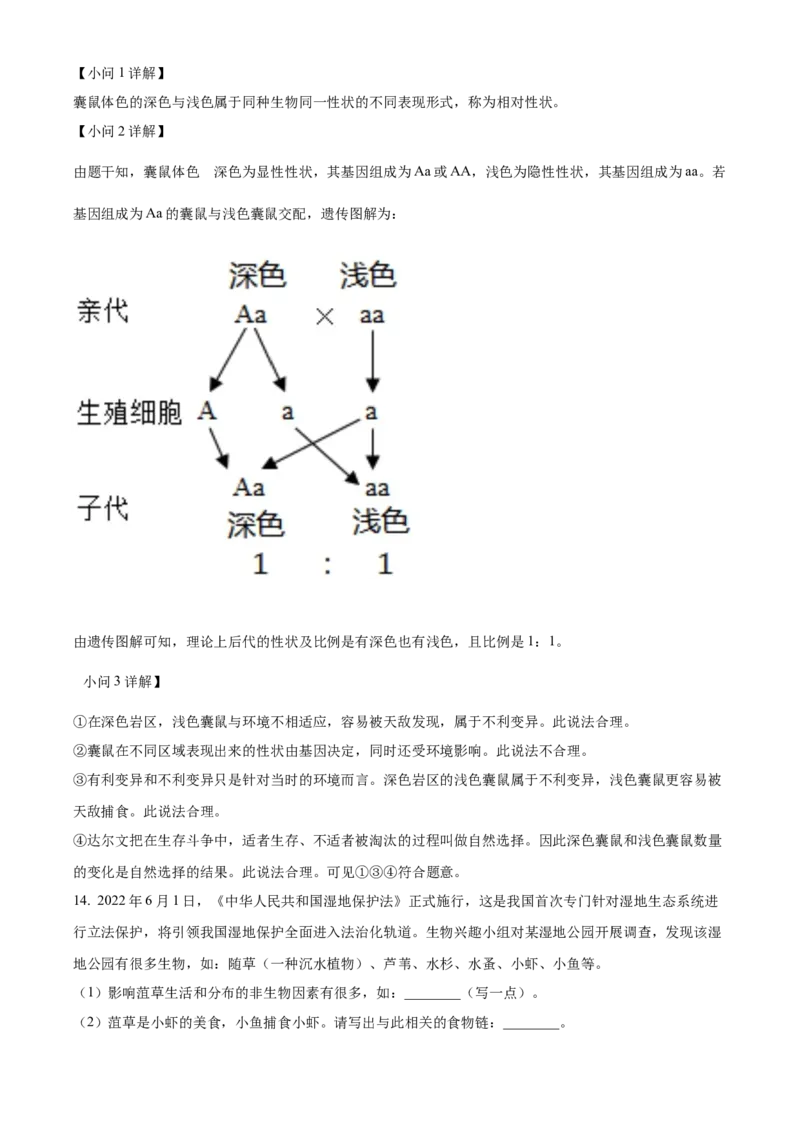 精品解析：2022年湖北省咸宁市中考生物真题（解析版）_6生物中考复习_2025中考复习资料_中考真题（近三年）_2022年生物中考真题114份_精品解析：2022年湖北省咸宁市中考生物真题