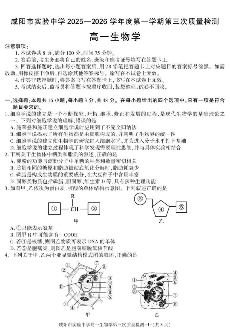 陕西省咸阳市实验中学2025-2026学年高一上学期第三次质量检测生物试卷_2026年01月高一试卷_260109陕西省咸阳市实验中学2025-2026学年高一上学期第三次质量检测（全）