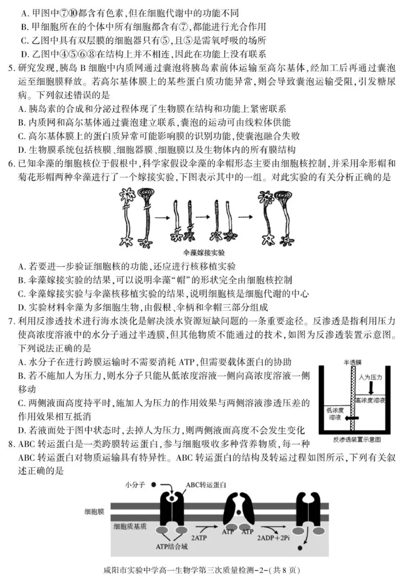陕西省咸阳市实验中学2025-2026学年高一上学期第三次质量检测生物试卷_2026年01月高一试卷_260109陕西省咸阳市实验中学2025-2026学年高一上学期第三次质量检测（全）