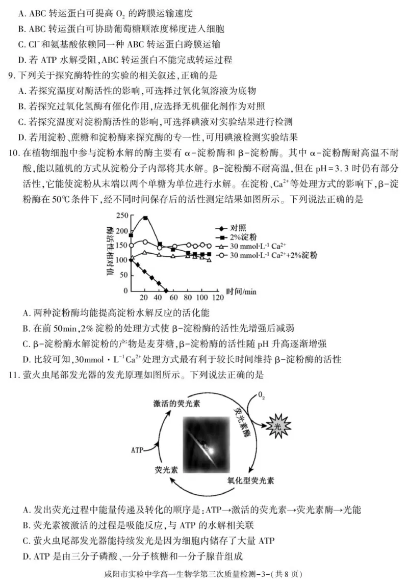 陕西省咸阳市实验中学2025-2026学年高一上学期第三次质量检测生物试卷_2026年01月高一试卷_260109陕西省咸阳市实验中学2025-2026学年高一上学期第三次质量检测（全）
