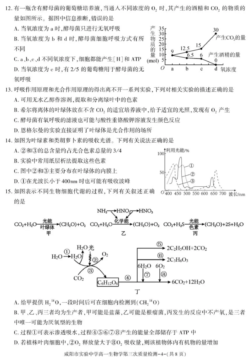 陕西省咸阳市实验中学2025-2026学年高一上学期第三次质量检测生物试卷_2026年01月高一试卷_260109陕西省咸阳市实验中学2025-2026学年高一上学期第三次质量检测（全）