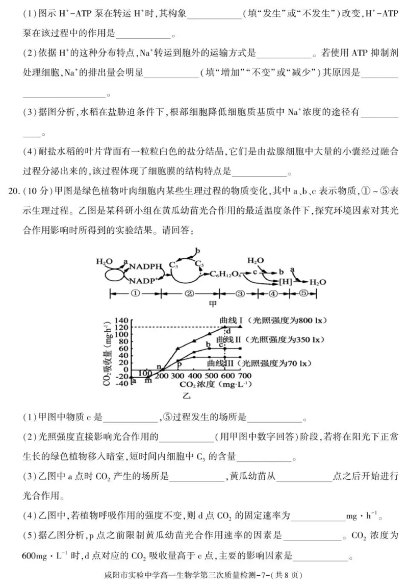 陕西省咸阳市实验中学2025-2026学年高一上学期第三次质量检测生物试卷_2026年01月高一试卷_260109陕西省咸阳市实验中学2025-2026学年高一上学期第三次质量检测（全）