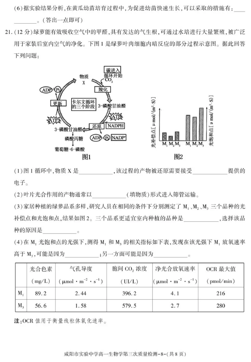 陕西省咸阳市实验中学2025-2026学年高一上学期第三次质量检测生物试卷_2026年01月高一试卷_260109陕西省咸阳市实验中学2025-2026学年高一上学期第三次质量检测（全）