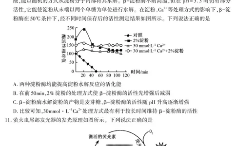 陕西省咸阳市实验中学2025-2026学年高一上学期第三次质量检测生物试卷_2026年01月高一试卷_260109陕西省咸阳市实验中学2025-2026学年高一上学期第三次质量检测（全）