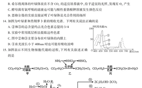 陕西省咸阳市实验中学2025-2026学年高一上学期第三次质量检测生物试卷_2026年01月高一试卷_260109陕西省咸阳市实验中学2025-2026学年高一上学期第三次质量检测（全）