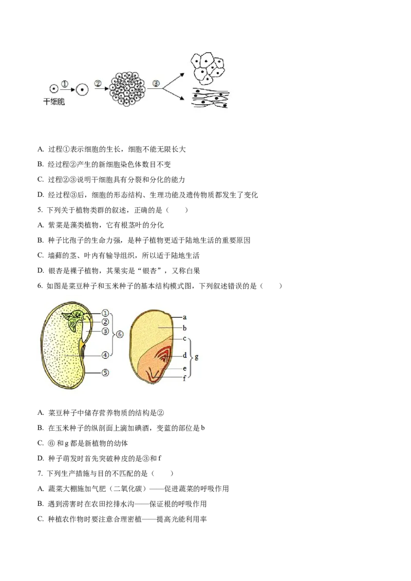 精品解析：2023年山东省临沂市中考生物真题（原卷版）_new_6生物中考复习_2025中考复习资料_中考真题（近三年）_2023年生物中考真题