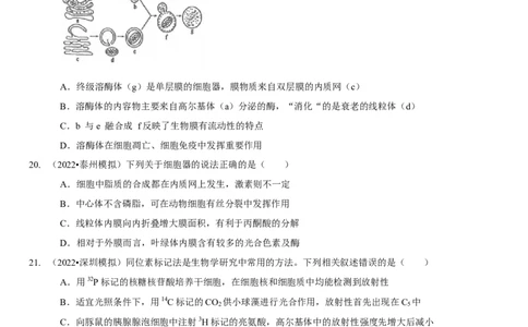题型2细胞的结构与功能观（题型集训）（原卷版）_新高考复习资料_2023年新高考复习资料_二轮复习_技巧点拨备战2023年高考生物二轮题型复习讲解286731240