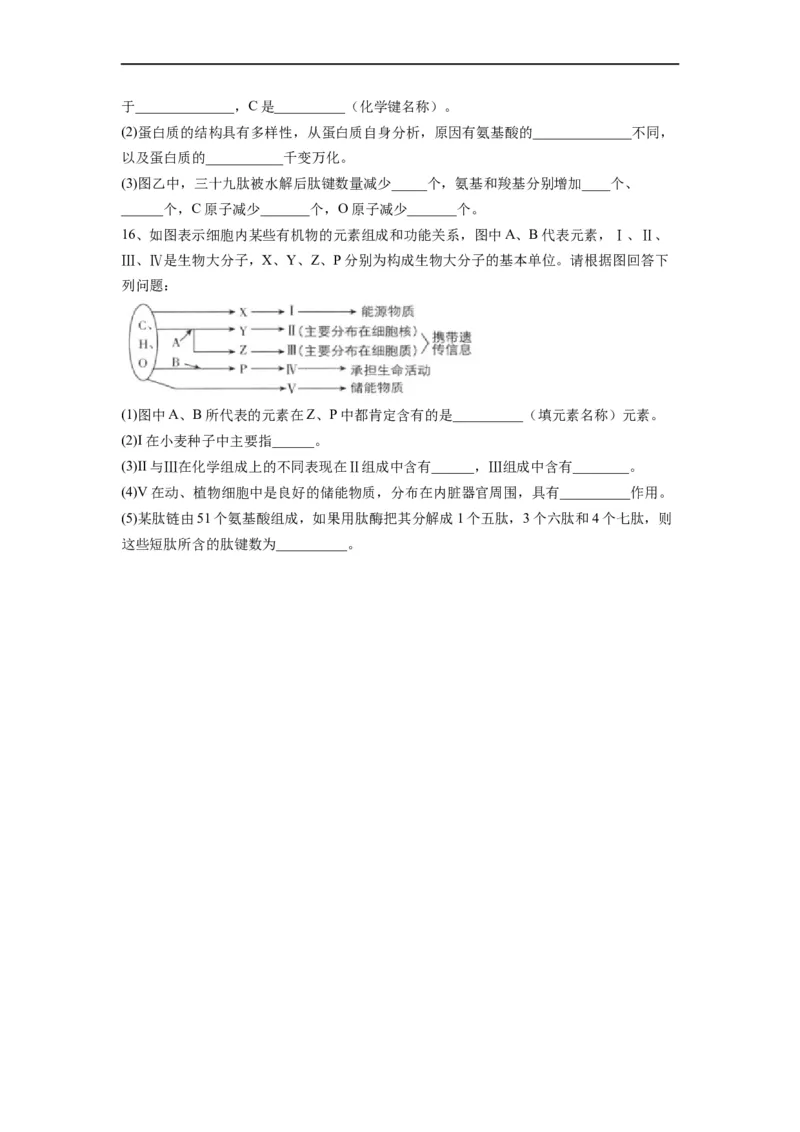 重难点02组成细胞的分子（原卷版）_通用版（老高考）复习资料_2023年复习资料_专项复习_2023年高考生物热点&middot;重点&middot;难点专练（全国通用）