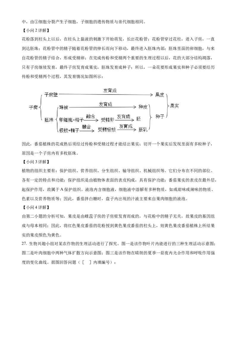 精品解析：2024年山东省滨州市中考生物真题（解析版）_new_6生物中考复习_2025中考复习资料_中考真题（近三年）_2024年生物中考真题