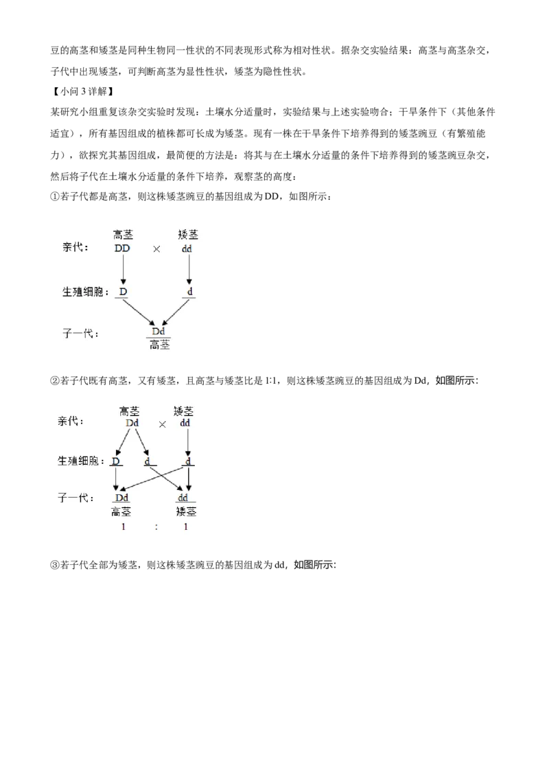 精品解析：2024年山东省滨州市中考生物真题（解析版）_new_6生物中考复习_2025中考复习资料_中考真题（近三年）_2024年生物中考真题