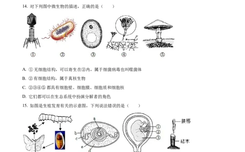 精品解析：湖南省张家界市2022年中考真题（原卷版）_6生物中考复习_2025中考复习资料_中考真题（近三年）_2022年生物中考真题114份