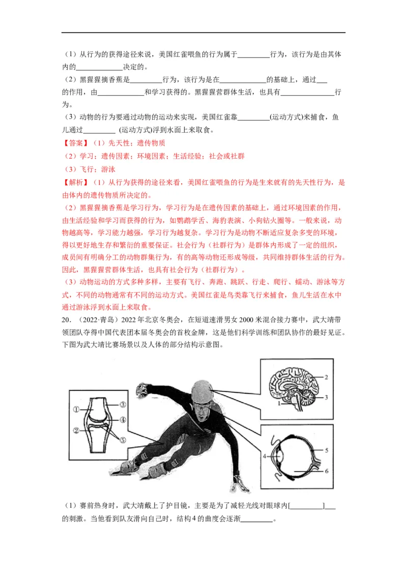 重难点06动物的运动和行为-2023年中考生物热点&middot;重点&middot;难点专练（全国通用）（解析版）_6生物中考复习_2023年中考复习资料_专项复习