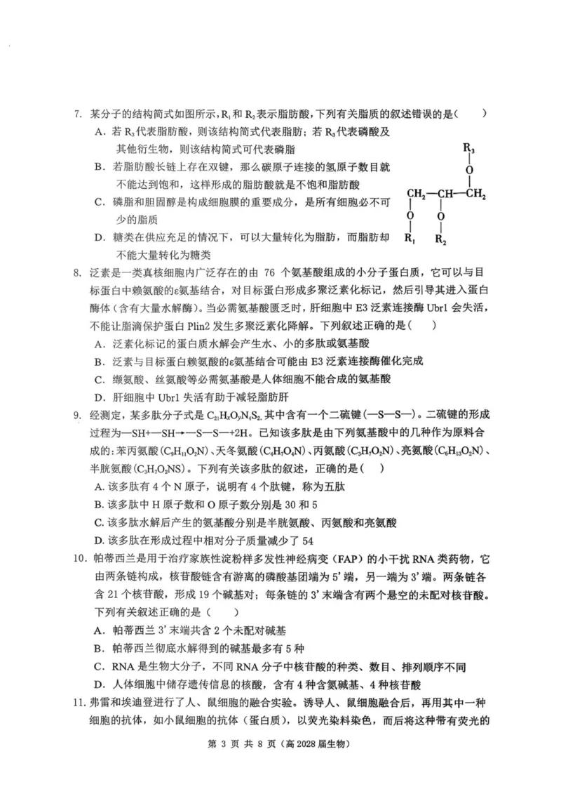 重庆市名校联盟2025-2026学年高一上学期11月期中生物试题_2025年12月高一试卷_251209重庆市名校联盟2025-2026学年高一上学期11月期中联考