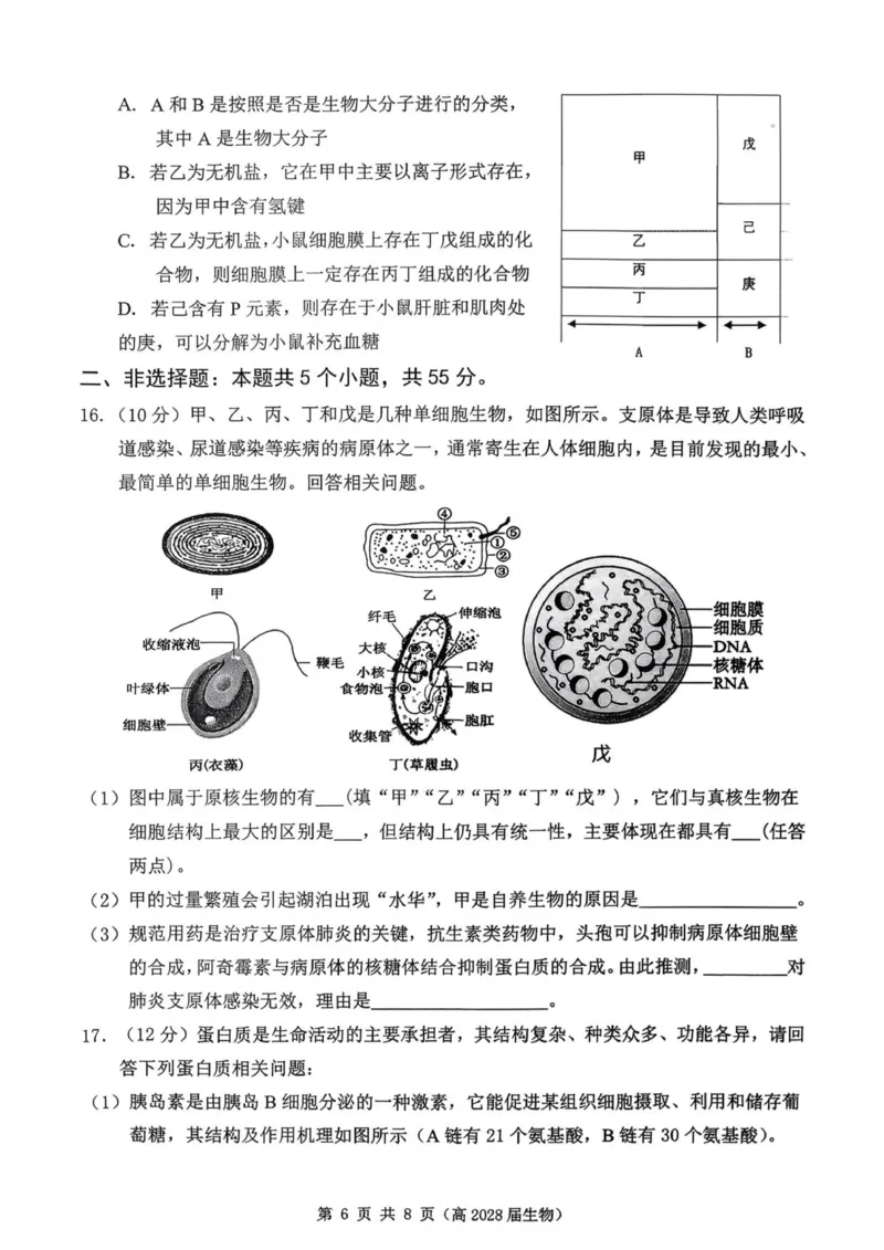 重庆市名校联盟2025-2026学年高一上学期11月期中生物试题_2025年12月高一试卷_251209重庆市名校联盟2025-2026学年高一上学期11月期中联考