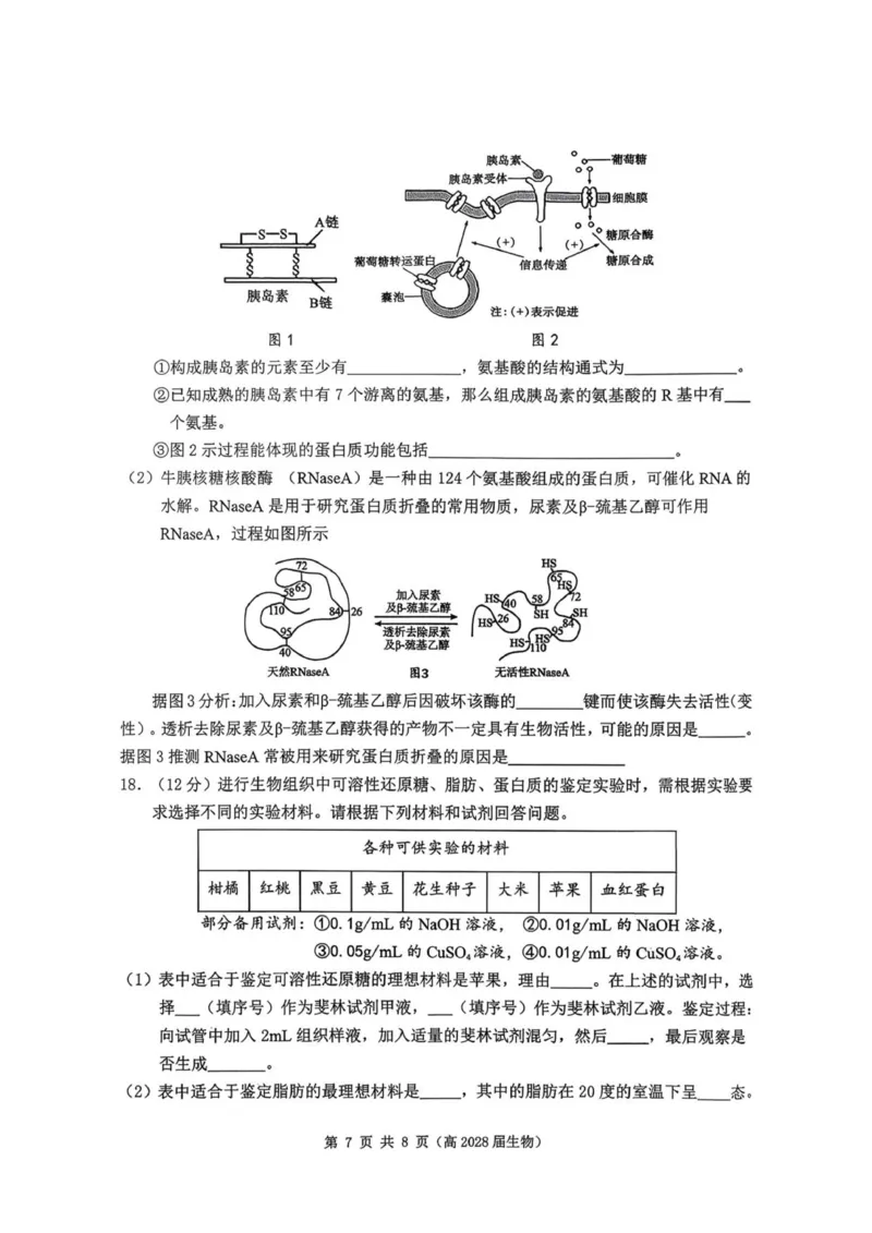 重庆市名校联盟2025-2026学年高一上学期11月期中生物试题_2025年12月高一试卷_251209重庆市名校联盟2025-2026学年高一上学期11月期中联考