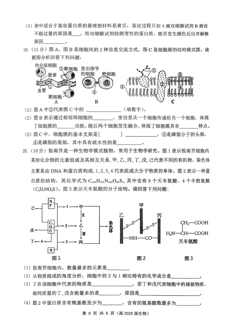 重庆市名校联盟2025-2026学年高一上学期11月期中生物试题_2025年12月高一试卷_251209重庆市名校联盟2025-2026学年高一上学期11月期中联考