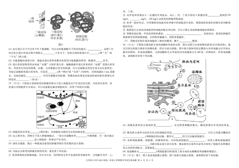 铁人中学2025级高一上学期期中考试生物试卷11.15_2025年12月高一试卷_251212黑龙江省大庆铁人中学2025-2026学年高一上学期期中考试（全）