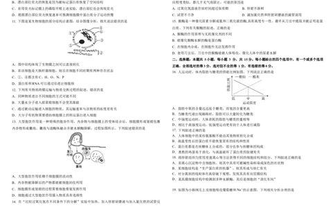 铁人中学2025级高一上学期期中考试生物试卷11.15_2025年12月高一试卷_251212黑龙江省大庆铁人中学2025-2026学年高一上学期期中考试（全）