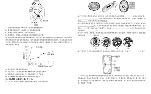 铁人中学2025级高一上学期期中考试生物试卷11.15_2025年12月高一试卷_251212黑龙江省大庆铁人中学2025-2026学年高一上学期期中考试（全）
