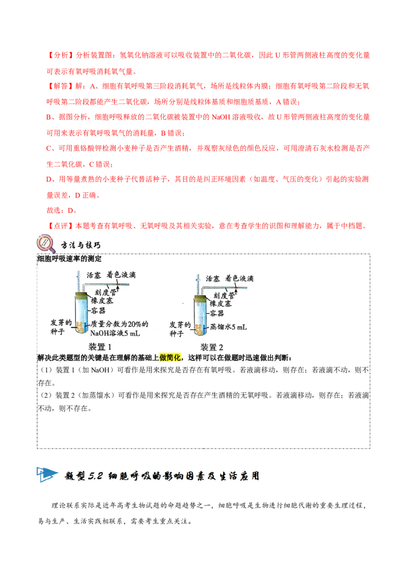 题型5从物质与能量视角探索细胞呼吸（题型归纳）（解析版）_新高考复习资料_2023年新高考复习资料_二轮复习_技巧点拨备战2023年高考生物二轮题型复习讲解286731240
