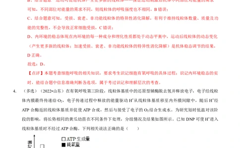 题型5从物质与能量视角探索细胞呼吸（题型归纳）（解析版）_新高考复习资料_2023年新高考复习资料_二轮复习_技巧点拨备战2023年高考生物二轮题型复习讲解286731240