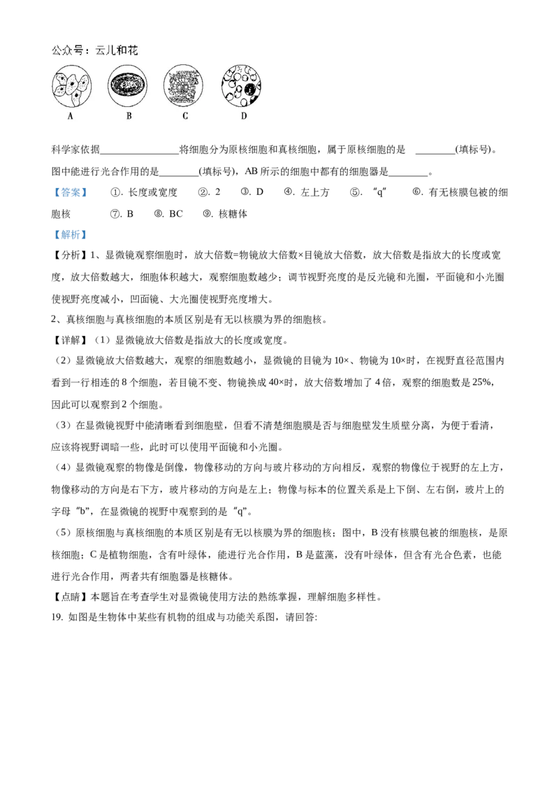 陕西省西安市部分学校联考2024-2025学年高一上学期11月期中生物试题Word版含解析_2024年11月试卷_1127陕西省西安市部分学校联考2024-2025学年高一上学期11月期中考试