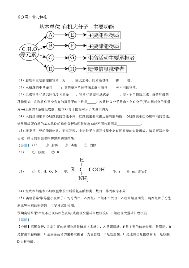 陕西省西安市部分学校联考2024-2025学年高一上学期11月期中生物试题Word版含解析_2024年11月试卷_1127陕西省西安市部分学校联考2024-2025学年高一上学期11月期中考试