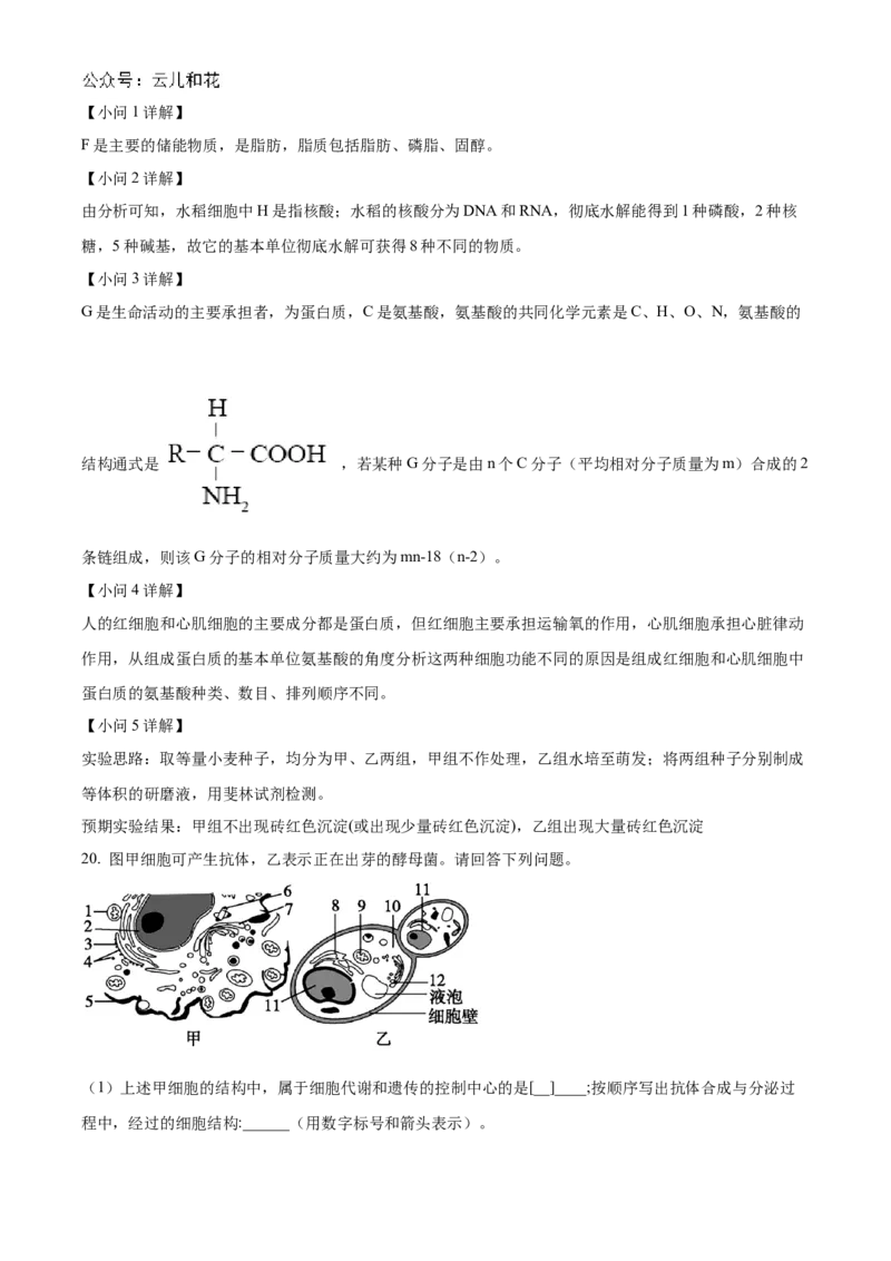 陕西省西安市部分学校联考2024-2025学年高一上学期11月期中生物试题Word版含解析_2024年11月试卷_1127陕西省西安市部分学校联考2024-2025学年高一上学期11月期中考试