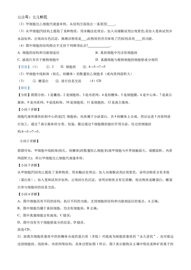 陕西省西安市部分学校联考2024-2025学年高一上学期11月期中生物试题Word版含解析_2024年11月试卷_1127陕西省西安市部分学校联考2024-2025学年高一上学期11月期中考试