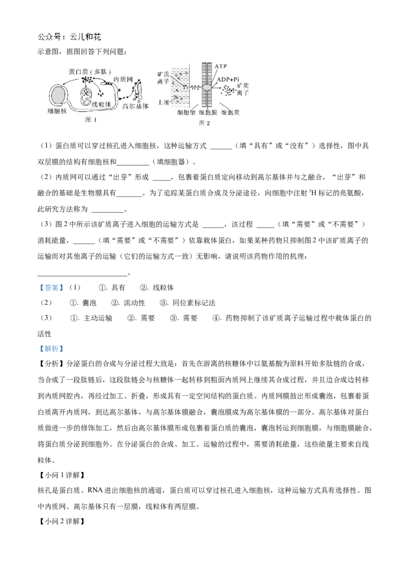 陕西省西安市部分学校联考2024-2025学年高一上学期11月期中生物试题Word版含解析_2024年11月试卷_1127陕西省西安市部分学校联考2024-2025学年高一上学期11月期中考试