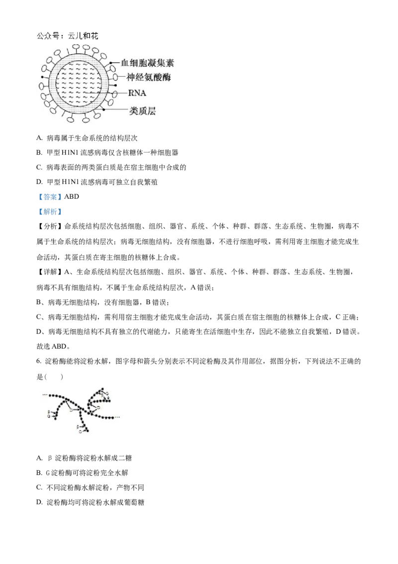 陕西省西安市部分学校联考2024-2025学年高一上学期11月期中生物试题Word版含解析_2024年11月试卷_1127陕西省西安市部分学校联考2024-2025学年高一上学期11月期中考试