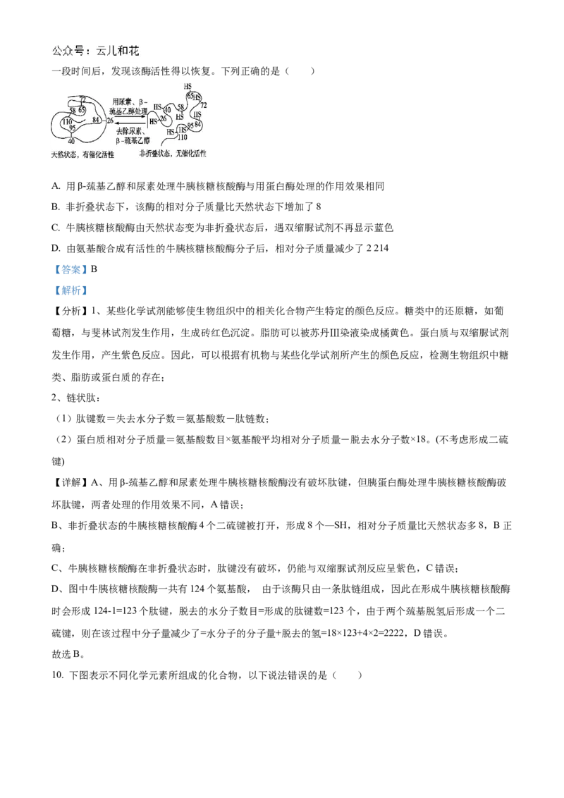 陕西省西安市部分学校联考2024-2025学年高一上学期11月期中生物试题Word版含解析_2024年11月试卷_1127陕西省西安市部分学校联考2024-2025学年高一上学期11月期中考试