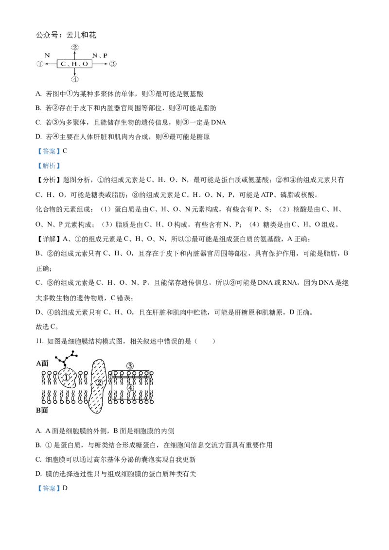 陕西省西安市部分学校联考2024-2025学年高一上学期11月期中生物试题Word版含解析_2024年11月试卷_1127陕西省西安市部分学校联考2024-2025学年高一上学期11月期中考试