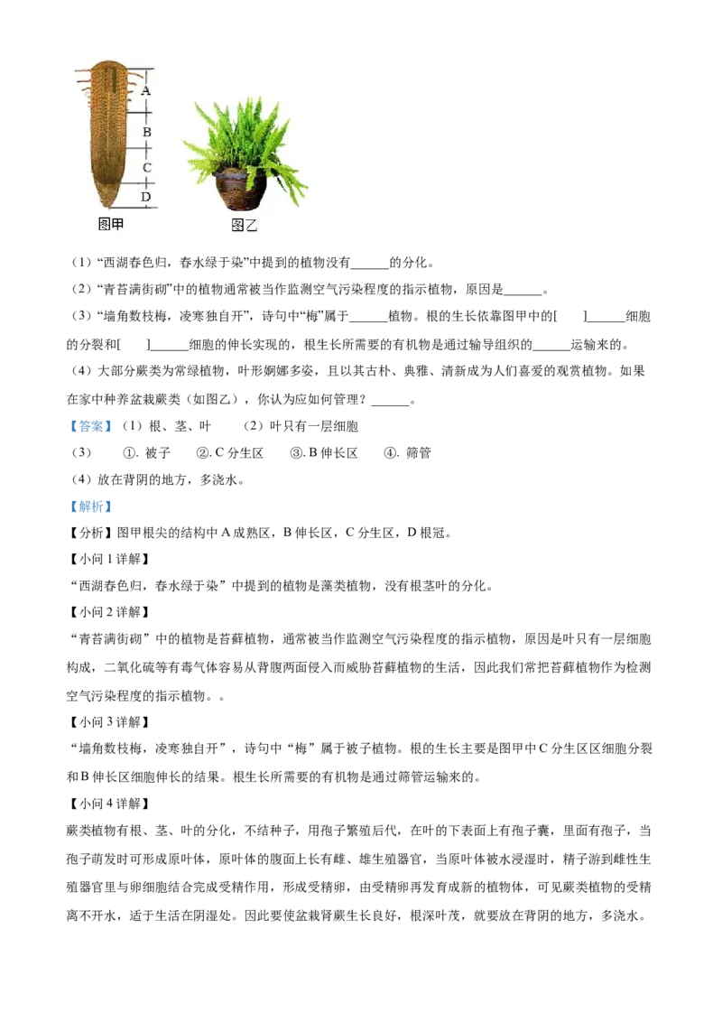 精品解析：2024年山东省聊城市中考生物试题（解析版）_new_6生物中考复习_2025中考复习资料_中考真题（近三年）_2024年生物中考真题