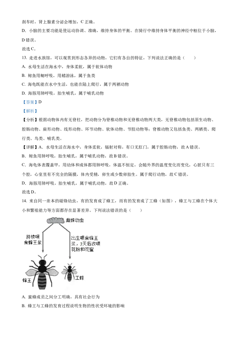 精品解析：2024年山东省聊城市中考生物试题（解析版）_new_6生物中考复习_2025中考复习资料_中考真题（近三年）_2024年生物中考真题