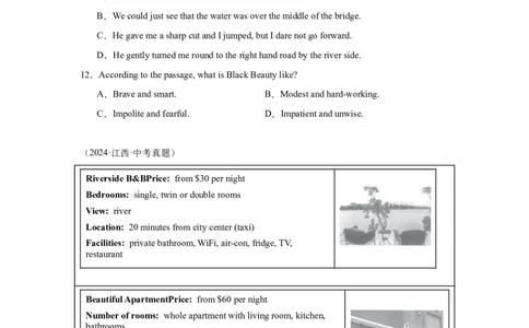 专题01阅读理解备考20252024年中考英语真题分类汇编全国版（含答案）_中考复习资料_语数英物化_3英语中考复习_2025中考复习资料