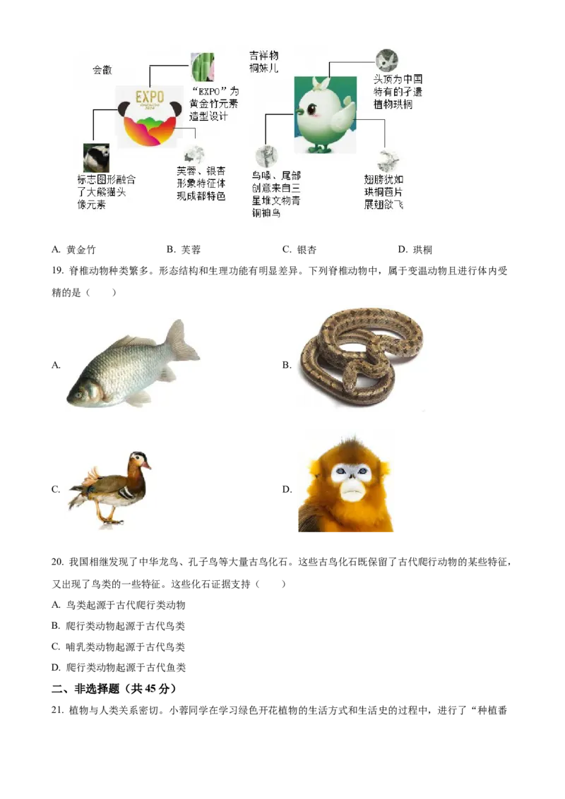 精品解析：2024年四川省成都市中考生物试题（原卷版）_new_6生物中考复习_2025中考复习资料_中考真题（近三年）_2024年生物中考真题