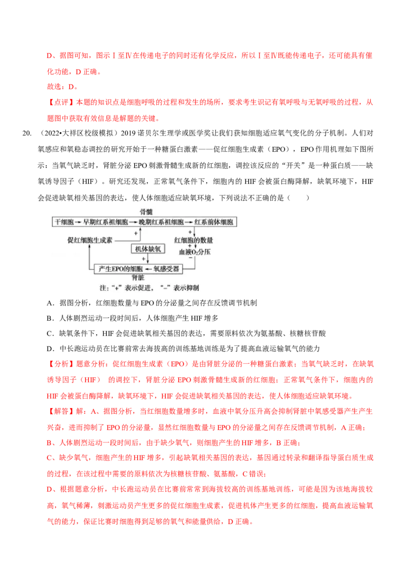 题型5从物质与能量视角探索细胞呼吸（题型集训）（解析版）_新高考复习资料_2023年新高考复习资料_二轮复习_技巧点拨备战2023年高考生物二轮题型复习讲解286731240
