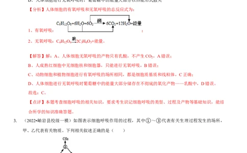 题型5从物质与能量视角探索细胞呼吸（题型集训）（解析版）_新高考复习资料_2023年新高考复习资料_二轮复习_技巧点拨备战2023年高考生物二轮题型复习讲解286731240