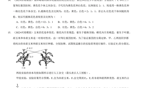 题型11分离定律的易错题型和特殊遗传现象（题型集训）（原卷版）_新高考复习资料_2023年新高考复习资料_二轮复习_技巧点拨备战2023年高考生物二轮题型复习讲解286731240