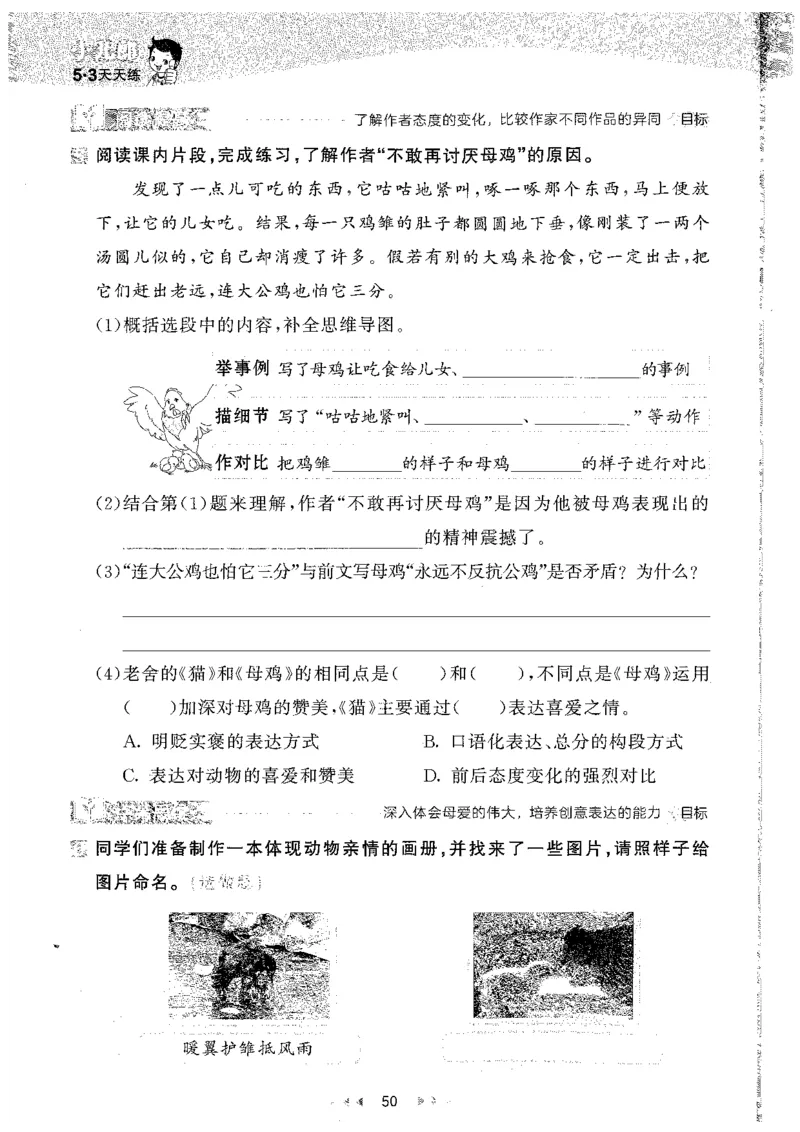 20265.3天天练小学四下语文_2026春小学教辅大合集_7-26春《53天天练》系列_26春《53天天练》语文_26春《53天天练》语文4下