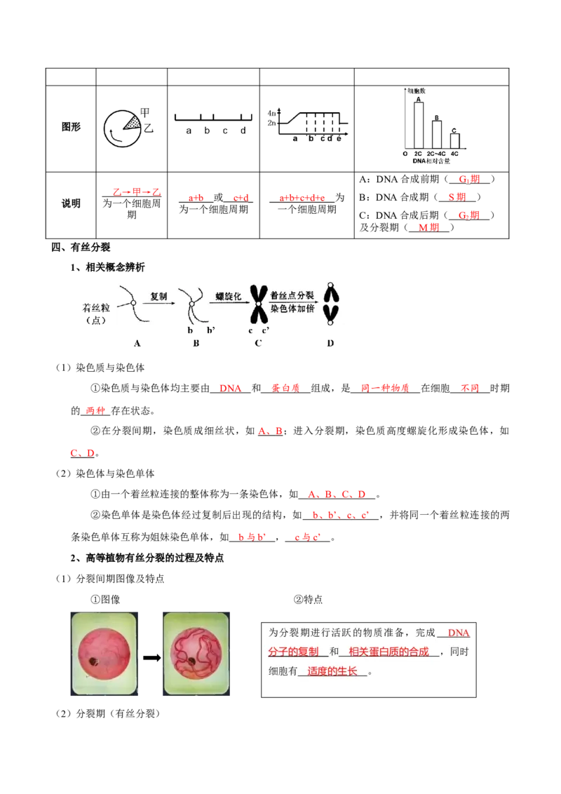题型8细胞生命历程的易错辨析（核心知识）（解析版）_新高考复习资料_2023年新高考复习资料_二轮复习_技巧点拨备战2023年高考生物二轮题型复习讲解286731240