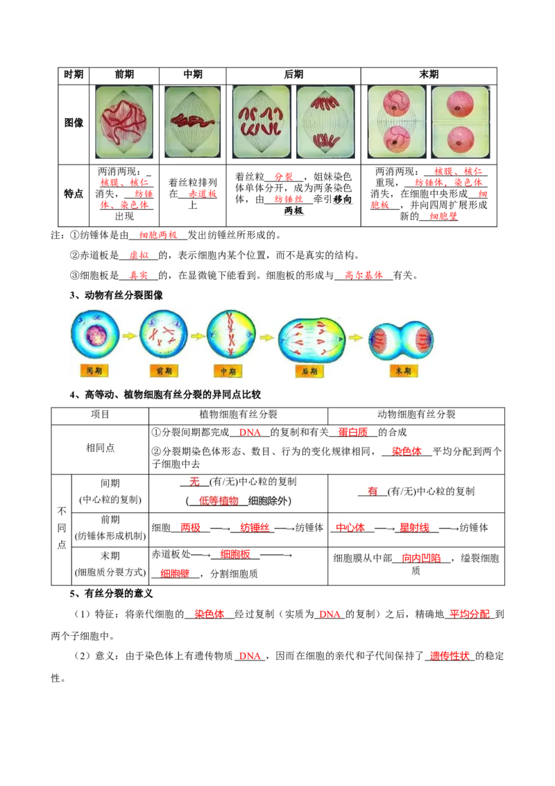 题型8细胞生命历程的易错辨析（核心知识）（解析版）_新高考复习资料_2023年新高考复习资料_二轮复习_技巧点拨备战2023年高考生物二轮题型复习讲解286731240