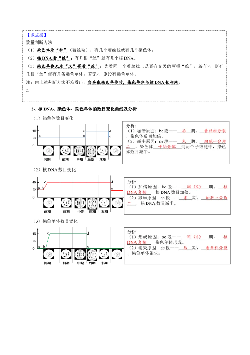 题型8细胞生命历程的易错辨析（核心知识）（解析版）_新高考复习资料_2023年新高考复习资料_二轮复习_技巧点拨备战2023年高考生物二轮题型复习讲解286731240