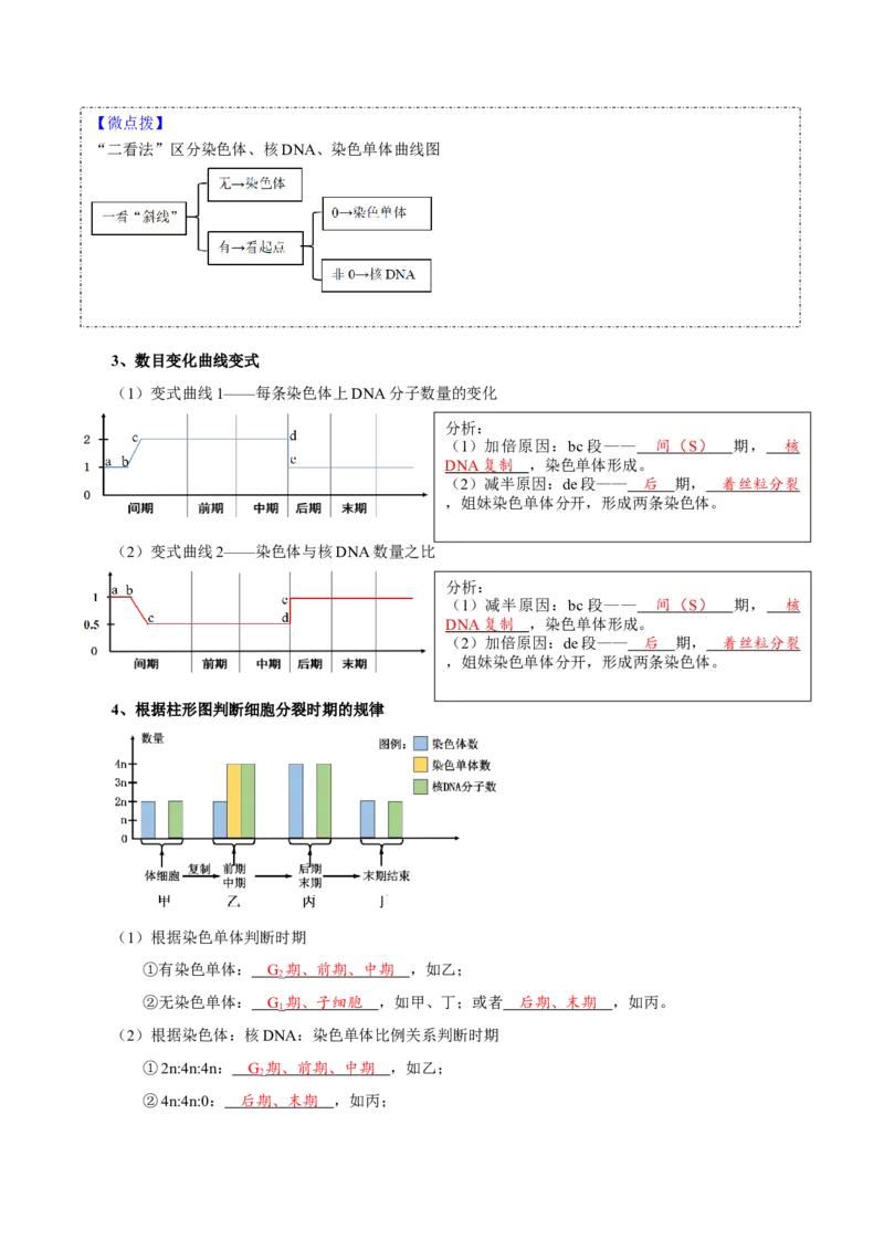 题型8细胞生命历程的易错辨析（核心知识）（解析版）_新高考复习资料_2023年新高考复习资料_二轮复习_技巧点拨备战2023年高考生物二轮题型复习讲解286731240